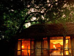 Manyara-Tree-Lodge